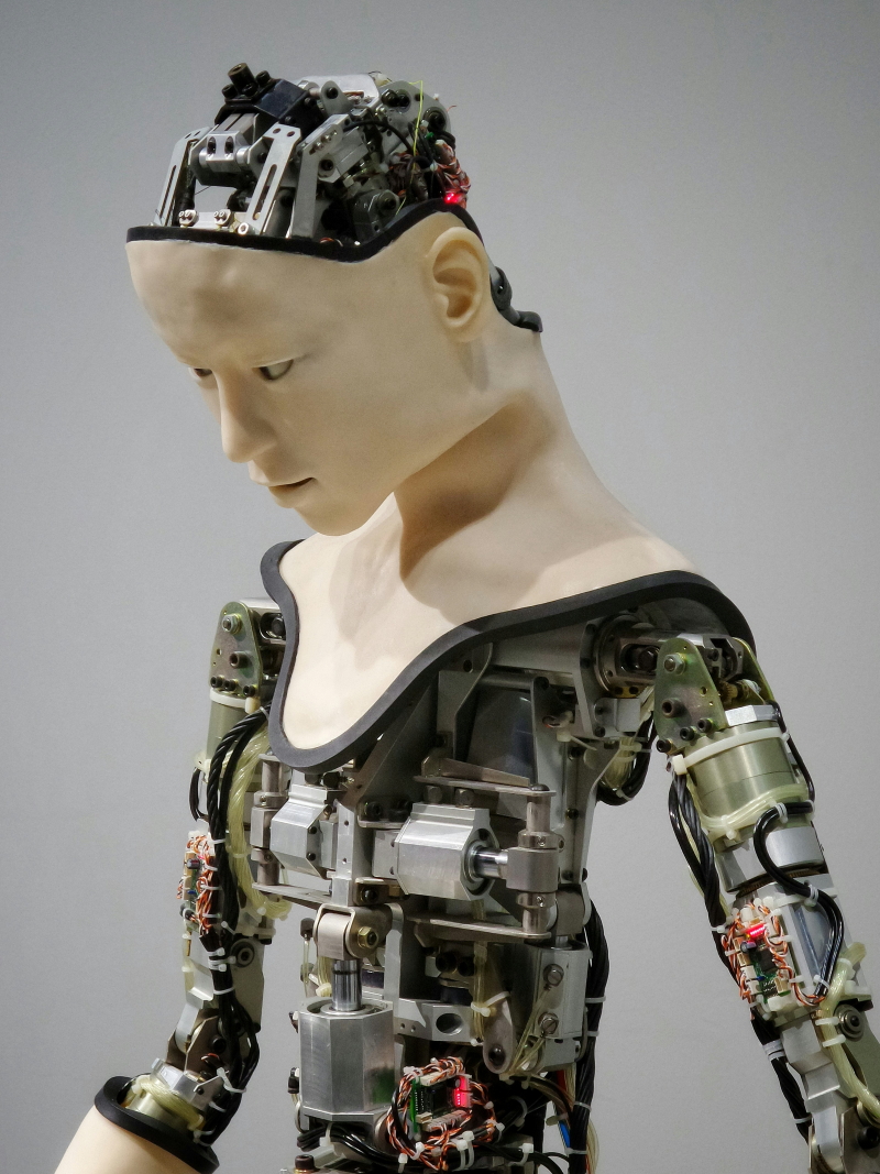 Softening Against the Machine: The Well Grounded Therapist