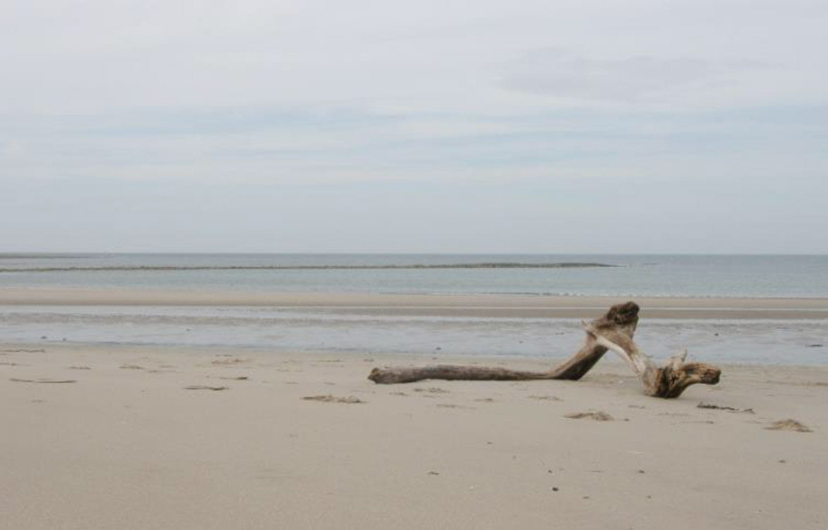 The Well Grounded Therapist: More Movement and Stillness at the Edge